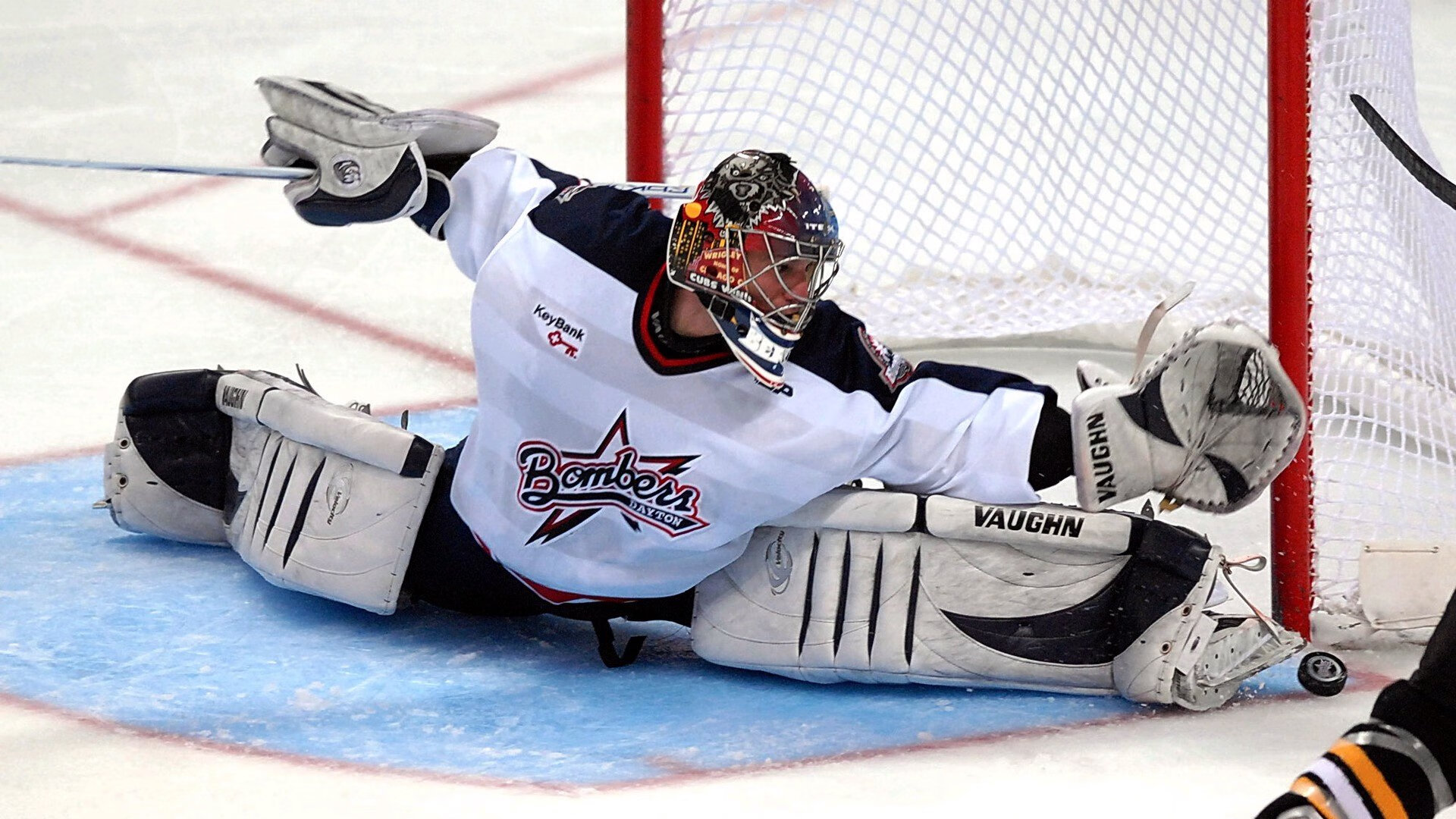 AYX GAMING-北京鸭引入外援锋线提升终结能力,北京鸭与其他鸭子的区别